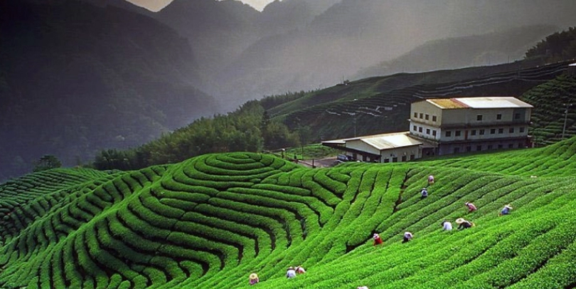 Kausani 