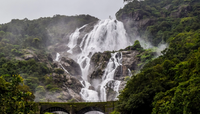5 Reasons to Consider Dudhsagar Waterfall Tour in Your Goa Itinerary