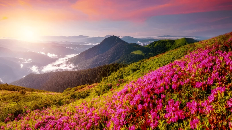 Tourism Returns: Mangan District in Sikkim Reopens to Visitors on December 1