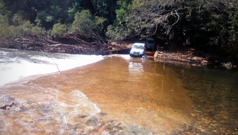 2. Scintillating Jungle Jeep Safari