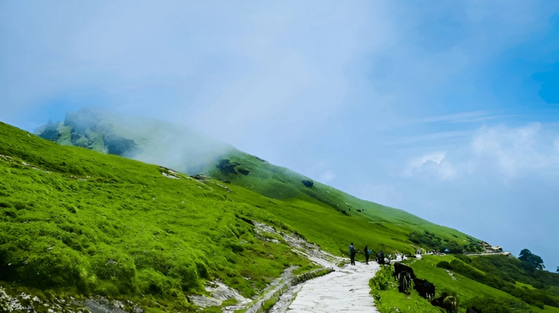 Chopta – A Perfect Destination for Solo Travel This New Year 