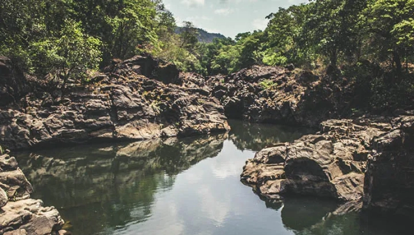 5. More Untrodden Wilderness Of Goa