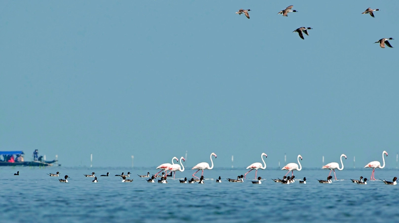 Winter Wonders of Odisha: Tourists Flock to Experience Snowy Marvels