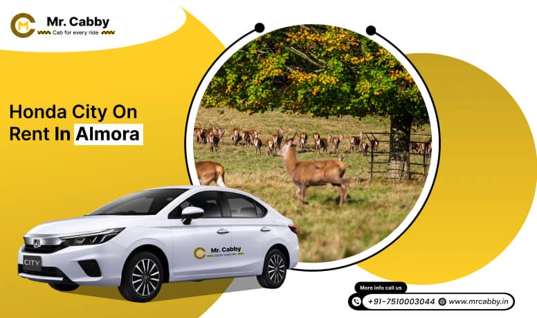 Honda City car hire in Almora, Honda City Taxi Renral Service in Almora