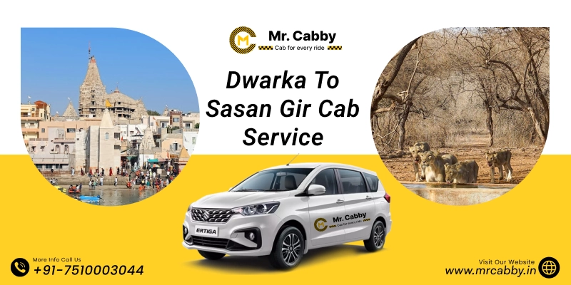 Dwarka to Sasan Gir Cab Service | Dwarka to Sasan Gir One-Way or Round-Trip Taxi Booking Fare Starts at Rs. 12/km - Mr. Cabby